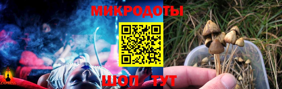 Гулькевичи  Псилоцибиновые грибы Magic Shrooms  Вход с VPN 